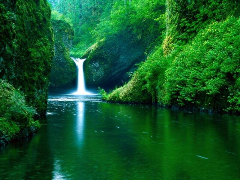 from-split-or-trogir-plitvice-lakes-private-tour