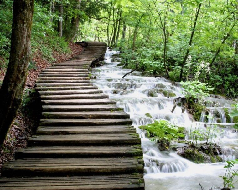 from-split-or-trogir-plitvice-lakes-private-tour