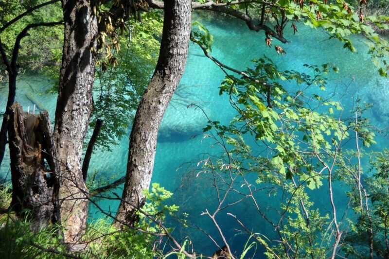 From Split: Plitvice Lakes Fully-Guided Day Tour - Who Is This Tour For?