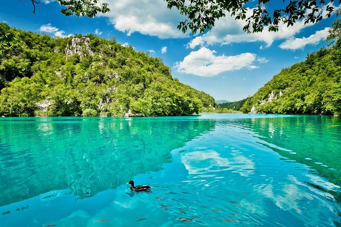 from-split-plitvice-lakes-national-park-guided-tour-2