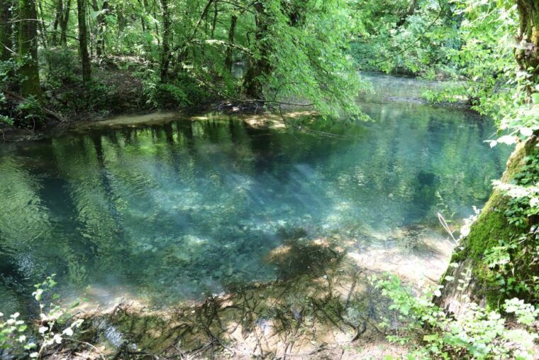 from-split-three-rivers-quad-tour-with-swimming