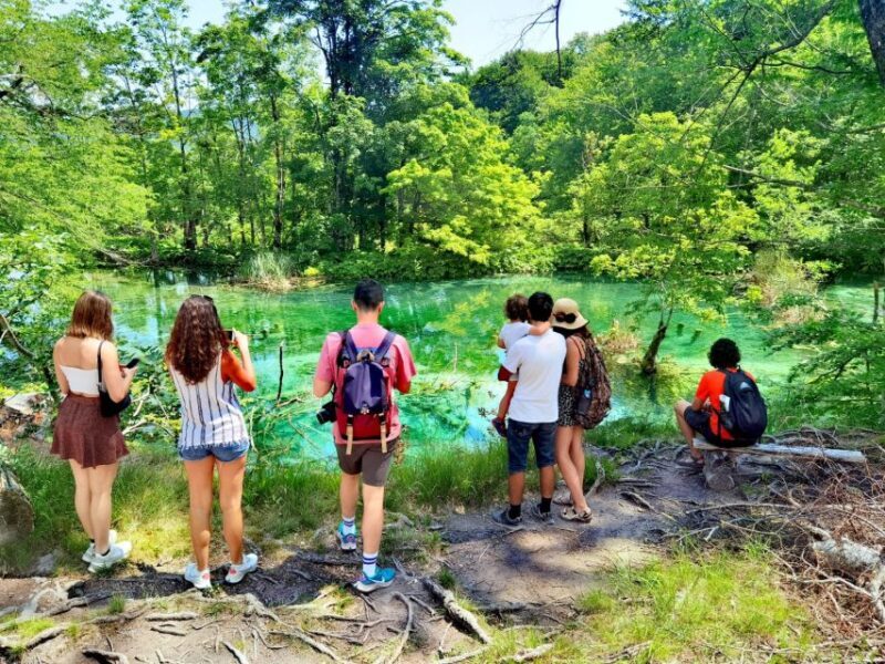 From Split/Trogir: Plitvice Lakes Guided Group Tour - Final Words: Is This Tour Right for You?