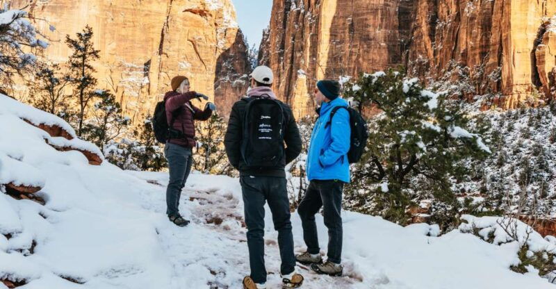 from-springdale-4-hour-zion-canyon-scenic-hiking-tour