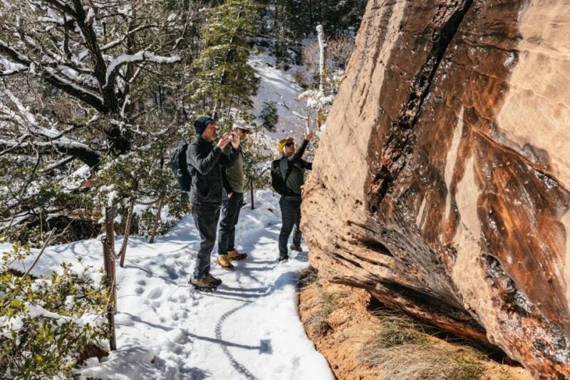 from-springdale-4-hour-zion-canyon-scenic-hiking-tour