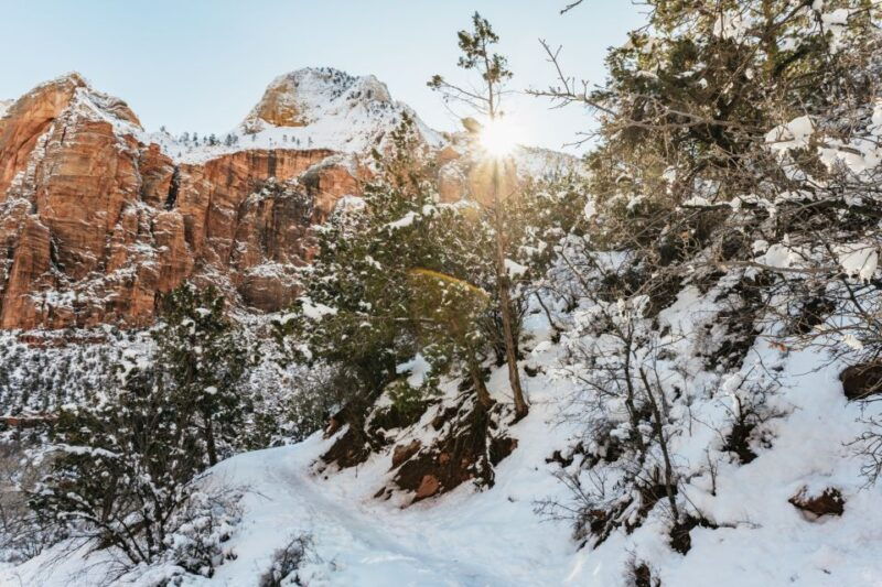 from-springdale-4-hour-zion-canyon-scenic-hiking-tour