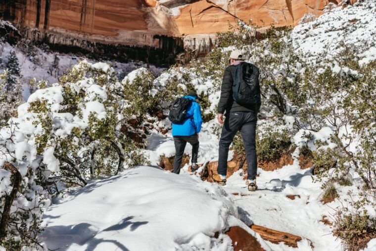 from-springdale-4-hour-zion-canyon-scenic-hiking-tour