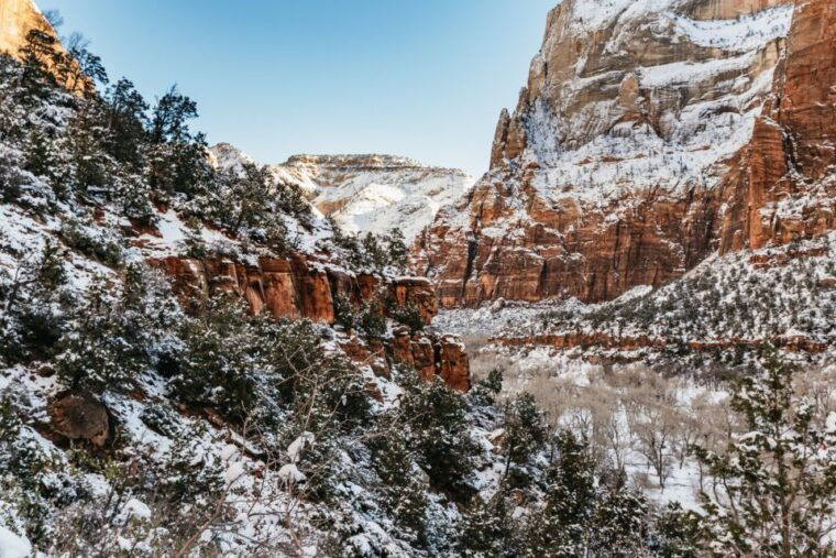 from-springdale-4-hour-zion-canyon-scenic-hiking-tour