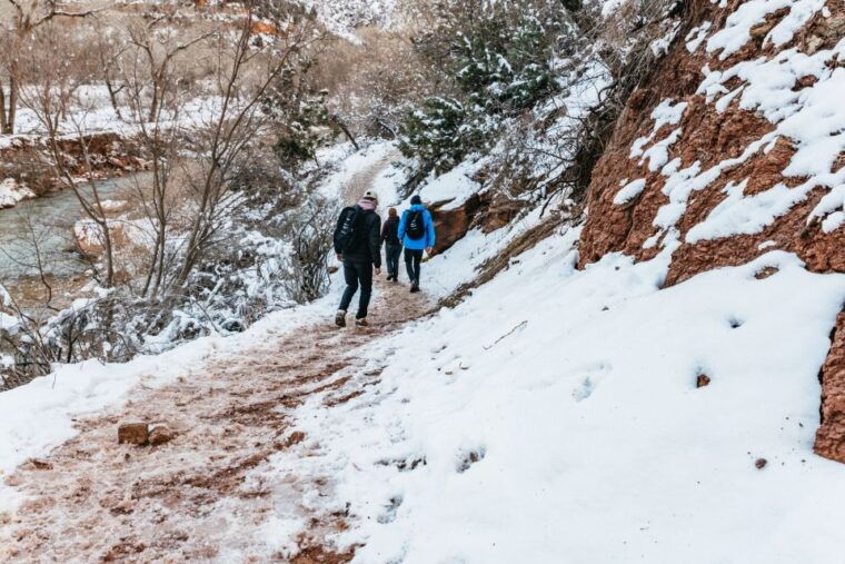 from-springdale-4-hour-zion-canyon-scenic-hiking-tour