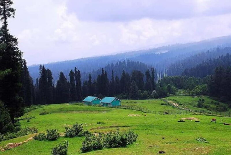 From Srinagar Full Day Trip of Yousmarg - Key Points  