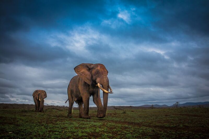 From St Lucia: iSimangaliso Sunset Safari - Introduction