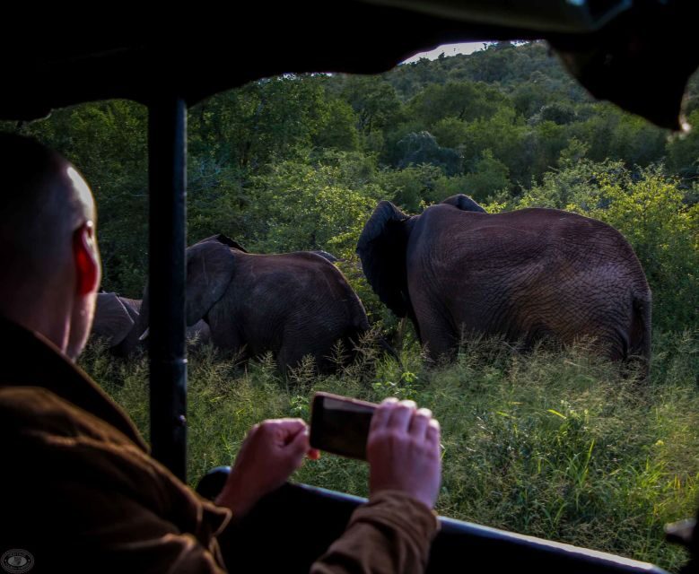 From St Lucia: iSimangaliso Wetland Park Night Drive Safari - Introduction