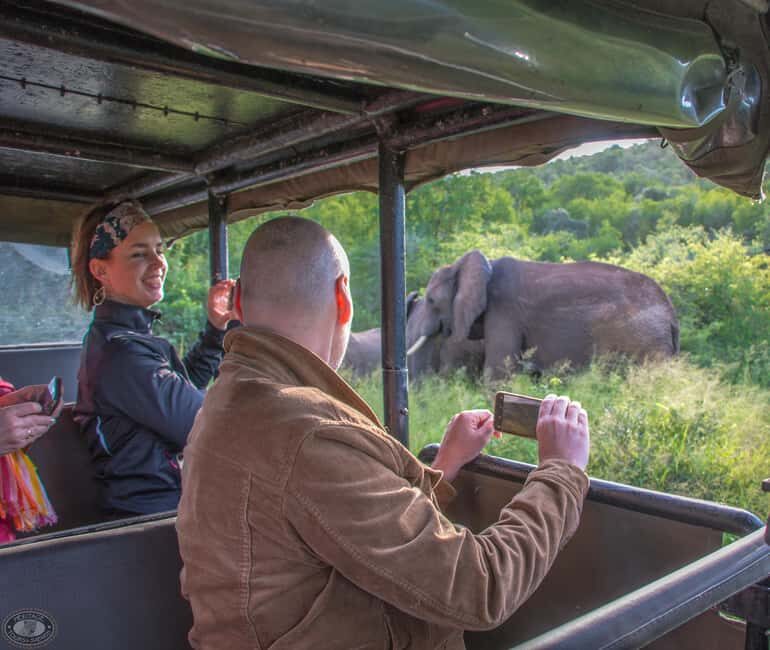 From St Lucia: iSimangaliso Wetland Park Night Drive Safari - Practical Details and Tips