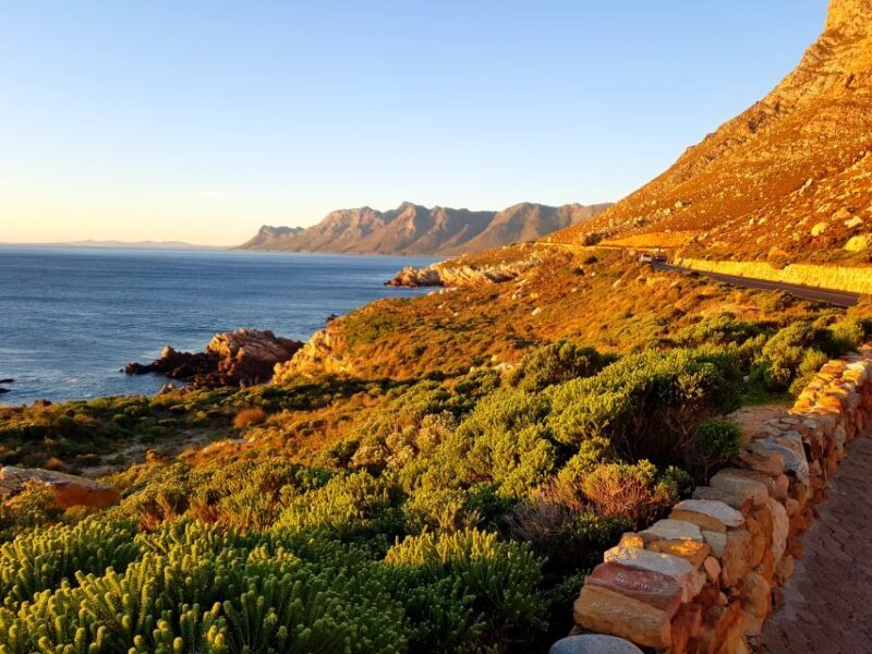 From Stellenbosch: Hermanus Whale Route Tour - The Sum Up