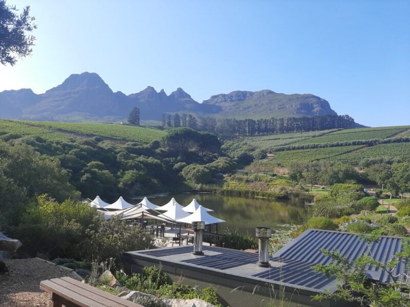 From Stellenbosch: Stellenbosch Guided Vineyard Walk - Key Points