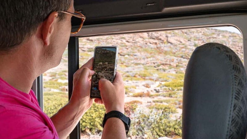 From Stintino: Asinara minivan tour - FAQs