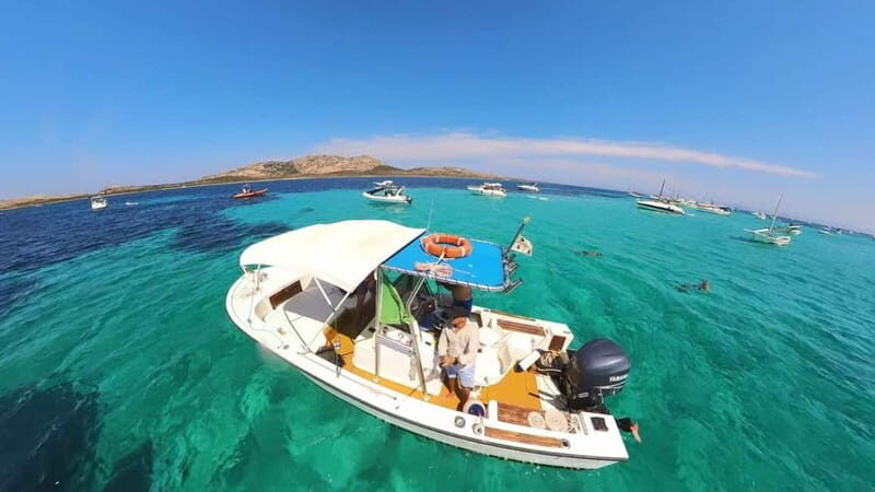 From Stintino: boat trip to Asinara - Key Points