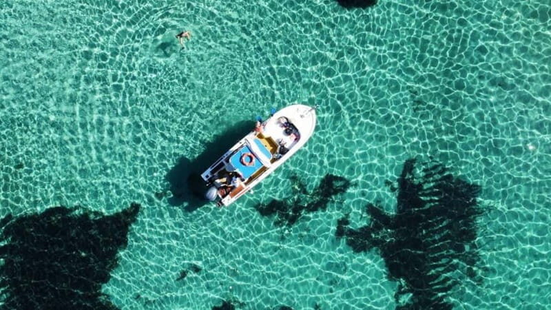 From Stintino: boat trip to Asinara - Discovering Asinara on a Boat: A Unique Perspective