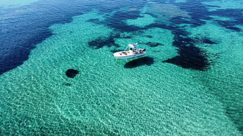 From Stintino: boat trip to Asinara - What You’ll Experience During the Trip