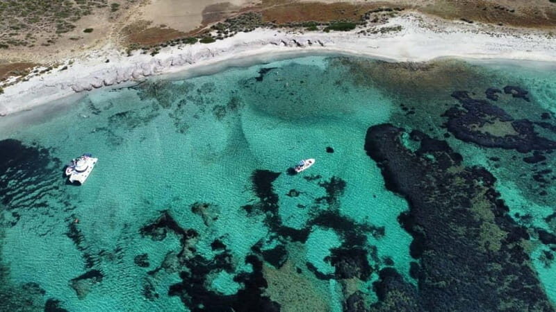From Stintino: boat trip to Asinara - Who Is This Tour Best For?