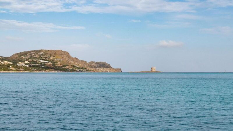 from-stintino-catamaran-tour-to-asinara-island
