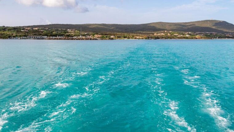 from-stintino-catamaran-tour-to-asinara-island