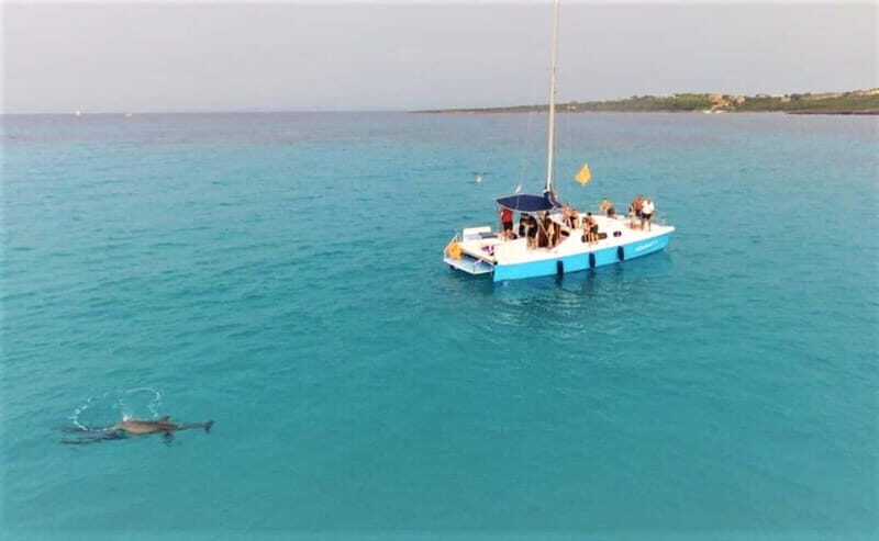From Stintino: catamaran trip in the Gulf of Asinara - Discover the Gulf of Asinara from Stintino with a Catamaran Adventure