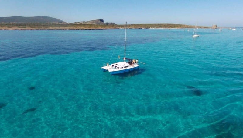From Stintino: catamaran trip in the Gulf of Asinara - Who Will Love This Tour?