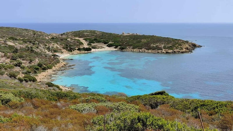 From Stintino: Day trip by minibus in Asinara National Park - Key Points