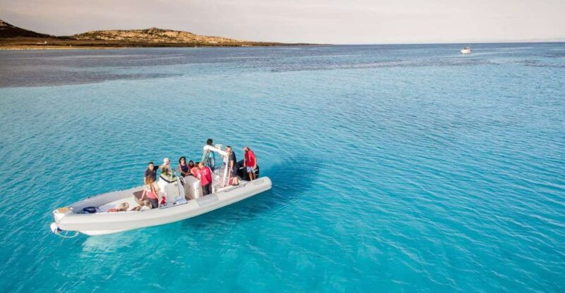 from-stintino-half-day-dinghy-tour-in-asinara-gulf