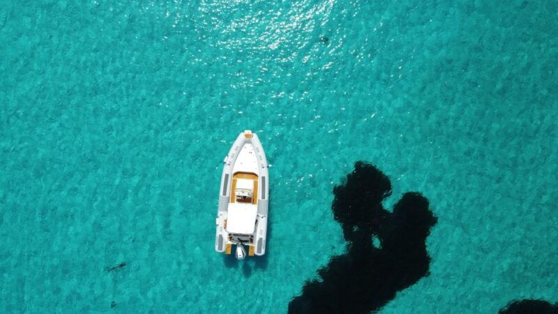 from-stintino-half-day-dinghy-tour-in-asinara-gulf