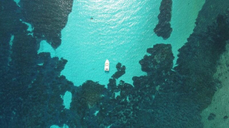 from-stintino-half-day-dinghy-tour-in-asinara-gulf