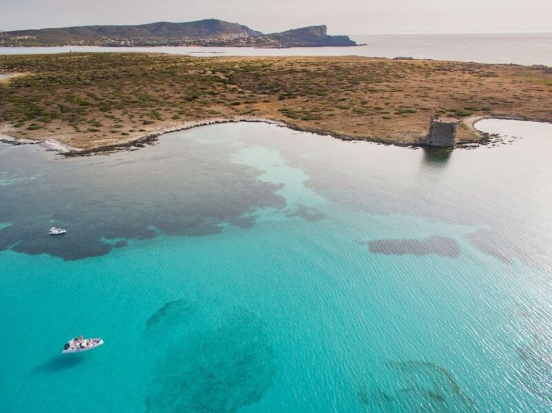 from-stintino-half-day-dinghy-tour-in-asinara-gulf