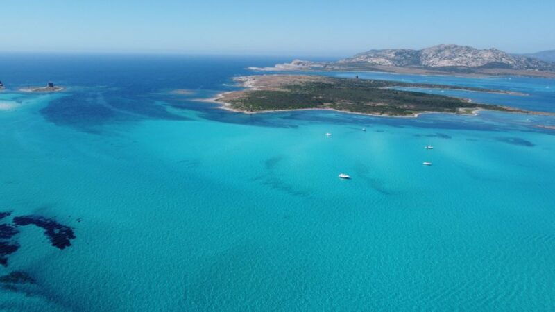 from-stintino-half-day-dinghy-tour-in-asinara-gulf