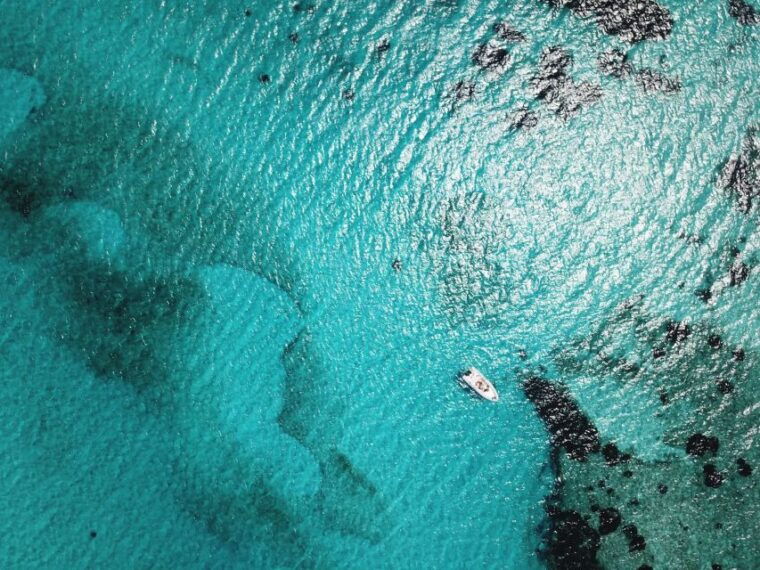 from-stintino-half-day-dinghy-tour-in-asinara-gulf