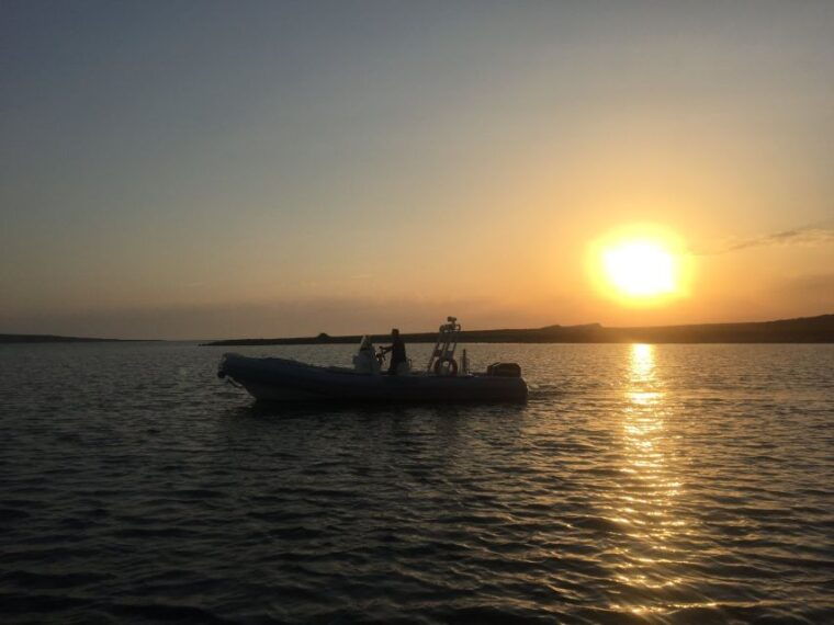 from-stintino-half-day-dinghy-tour-in-asinara-gulf