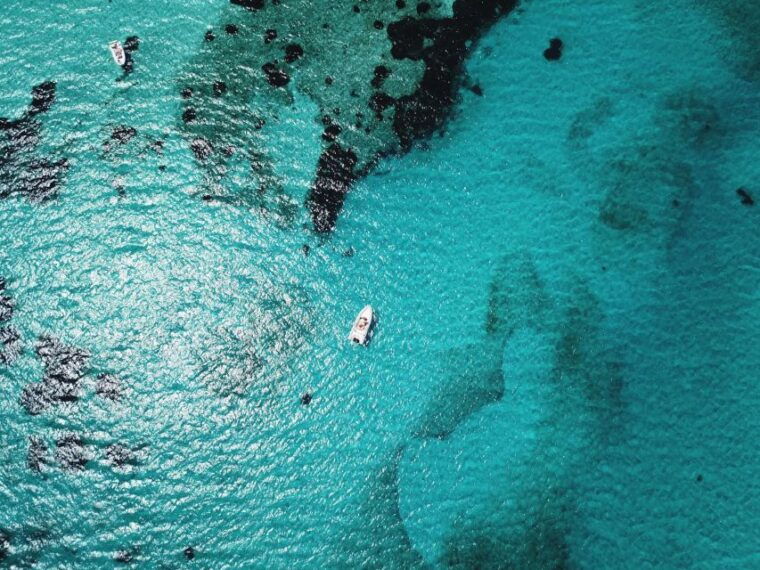from-stintino-half-day-dinghy-tour-in-asinara-gulf