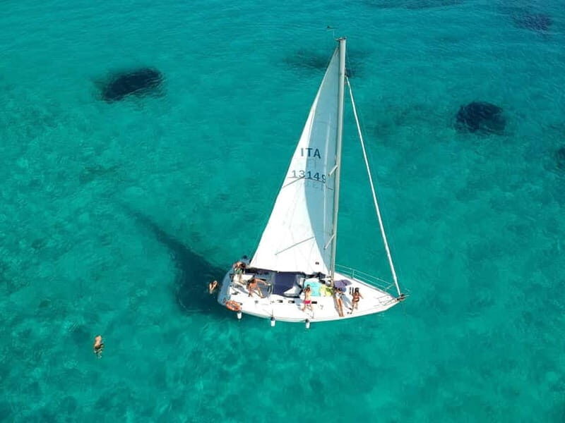 From Stintino: Half-Day Sailing Boat Tour to Asinara - The Sum Up