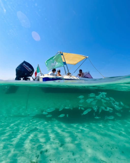 from-stintino-half-day-speedboat-tour-to-asinara
