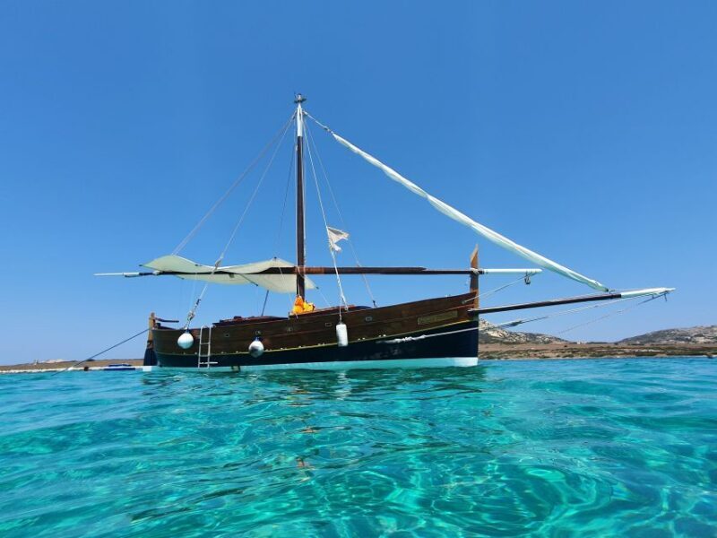 From Stintino: Sailing Trip to Asinara with Lunch - Who Would Love This Tour?