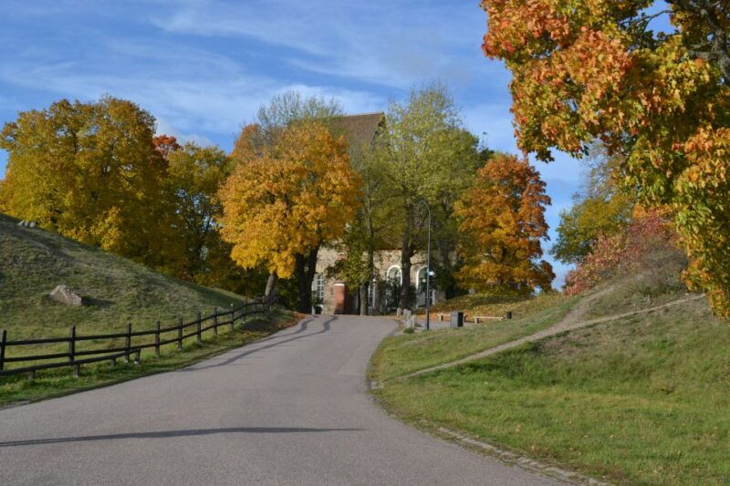 from-stockholm-uppsala-and-sigtuna-viking-sites-tour