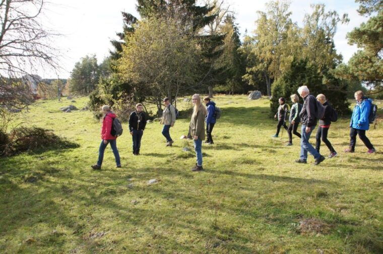from-stockholm-viking-culture-guided-tour-with-transfer