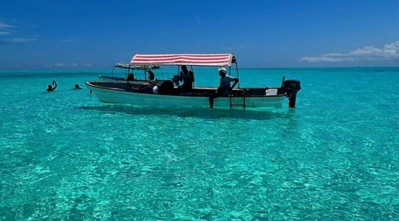 From Stone Town: Mnemba Dolphins & Snorkeling with Lunch - Why This Tour Is a Great Choice