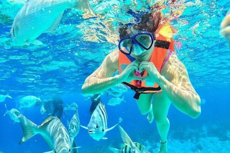 From Stone Town: Safari Blue Ocean Adventure with lunch(bbq) - FAQ