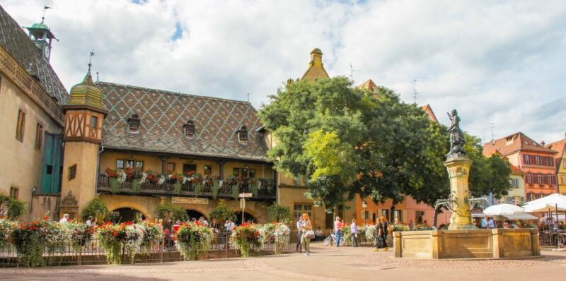 from-strasbourg-best-of-alsace-historical-day-trip
