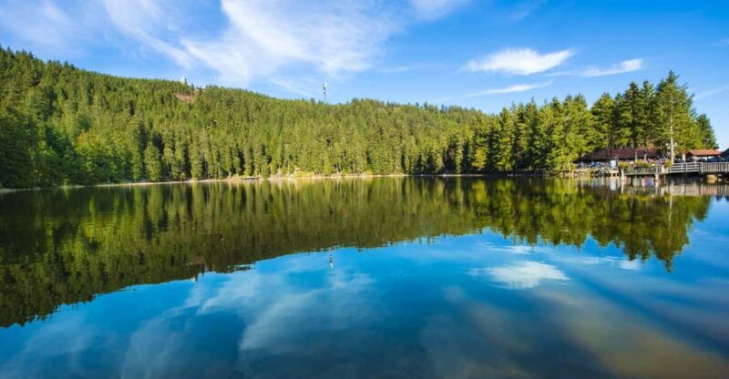 from-strasbourg-black-forest-and-baden-baden-day-trip