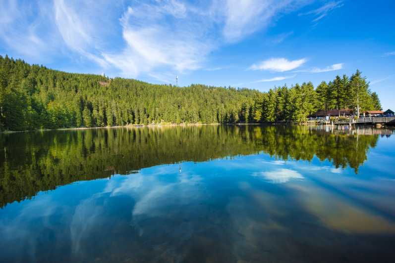 from-strasbourg-black-forest-and-baden-baden-day-trip