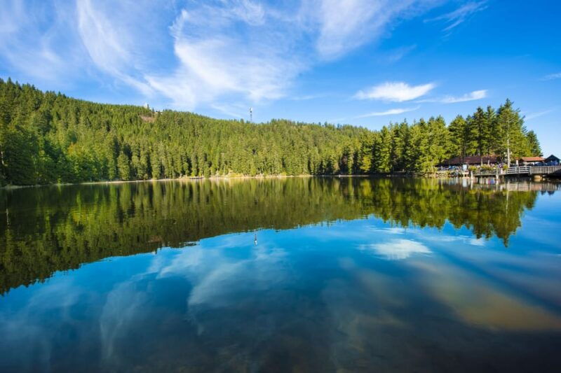 from-strasbourg-black-forest-and-baden-baden-day-trip