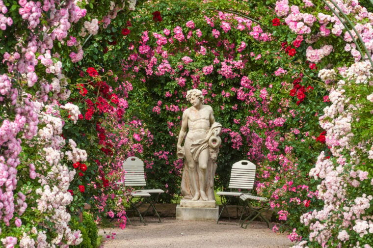 from-strasbourg-black-forest-and-baden-baden-day-trip