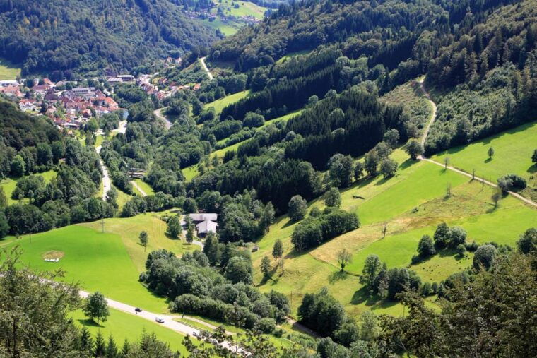 from-strasbourg-black-forest-and-baden-baden-day-trip