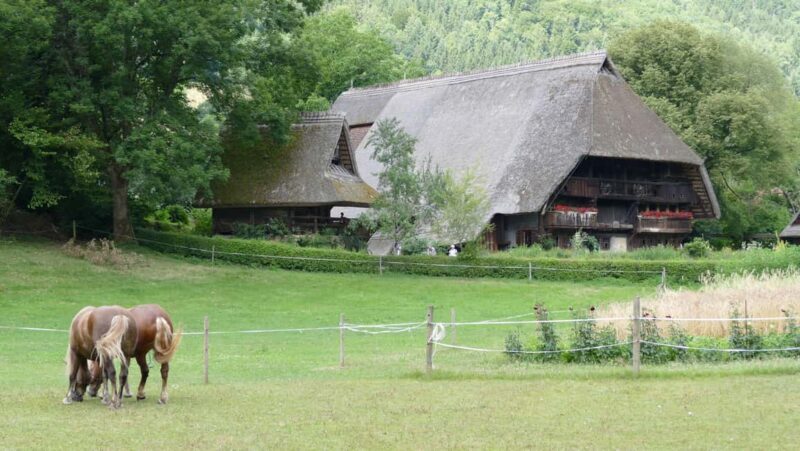 From Strasbourg: Black Forest Day Trip with Guide & Museum - Discover the Black Forest on a Day Trip from Strasbourg: An In-Depth Review
